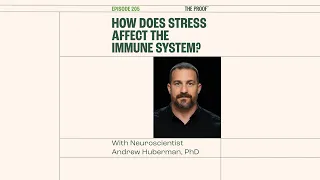 💥 How Does Stress AFFECT the Immune System? 😲 | The Proof #shorts  EP 205 with Andrew Huberman
