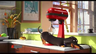 The Secret Life Of Pets - Buddy