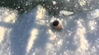 Firing A Bullet Into A Sheet Of Ice | Bullet Spins In Ice