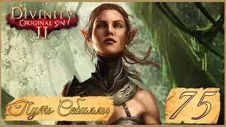 Divinity: Original Sin II ★ 75: Стычки с Черным Кругом