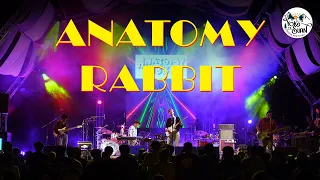 ANATOMY RABBIT @ YokSuan Music Festival 2022 [13112022][FULL]