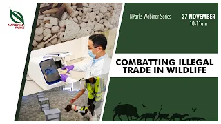 Combatting Illegal Trade in Wildlife | NParks Webinar Series