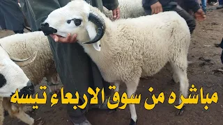 مباشره من السوق الاربعاء تيسه شوفوا الخروف الكسابيي والنعجه الوالده والماعز فرجه ممتعه 14/02/2024