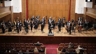 Grigoraș Dinicu: Hora Staccato - David Brutti, Nikola Mijajlović & Makris Symphony Orchestra, Gosta