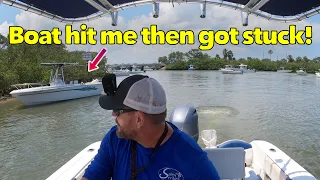 Chaotic Red Snapper and they ran into my boat!