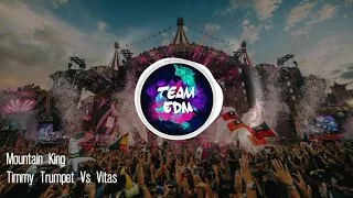 Mountain King - Timmy Trumpet Vs Vitas