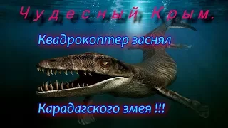 Квадрокоптер заснял Карадагского змея !!!/Чудесный Крым.