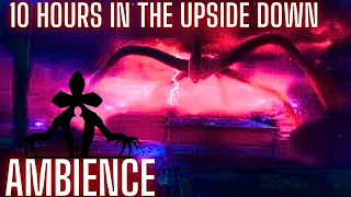 STRANGER THINGS: The Upside Down ASMR AMBIENCE 10 hours #strangerthings #strangerthings5  #asmr