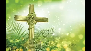 Sunday Service, Apr. 10th - St. Andrew's-Chalmers Palm Sunday