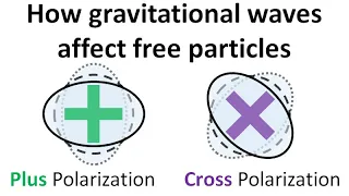 Relativity 109e: Gravitational Waves - How Gravitational Wave Affect Free Particles