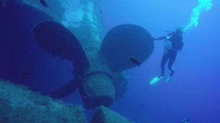 Дайвинг на рэк Зенобия.  Кипр. 2016 год. / Wreck Zenobia dive. Cyprus. 2016