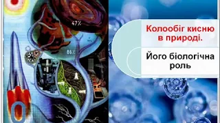 Колообіг кисню в природі