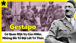 Gestapo - Cơ Quan Mật Vụ Của Hitler, Những Đồ Tể Đội Lốt Trí Thức