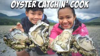 OYSTER CATCH and COOK in WASHINGTON