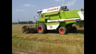 Árpa aratás   Claas dominator 106