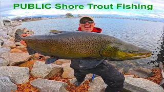 PUBLIC Shore Fishing MONSTER Trout