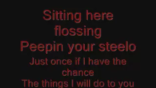 Ginuwine- Pony (Lyrics on screen)