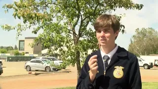 High School Agriculture Students Get Glimpse of Fresno State at FFA Field Day