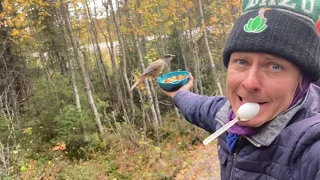 Hiking in Finland - Lāča taka - Karhunkierros