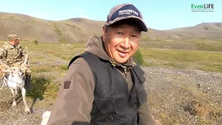 Охота на черношапочного сурка в горах Якутии.