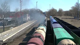 2ТЭ116У - 0121 дал медведя на ст. Нарва / 2TE116U-0121 at Narva