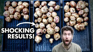 What type of Soil is BEST for Growing Potatoes? Gardening Experiment!