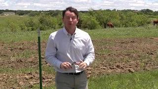 Bull goes viral after video shows it escaping from Texas hail