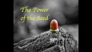 The Power of the Seed by Dr. Sandra Kennedy