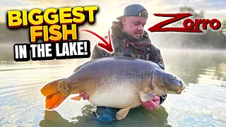 1 Week Carp Fishing Session - Forest Lakes France 2021