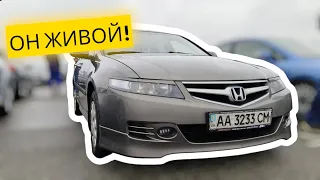 МОЩНОСТЬ 🦾 ЗАШКАЛИВАЕТ #golfr #accord