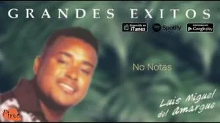 Luis Miguel del Amargue - No Notas (Audio Oficial)