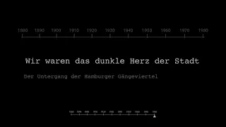 Wir waren das Dunkle Herz der Stadt - Der Untergang der Hamburger Gängeviertel