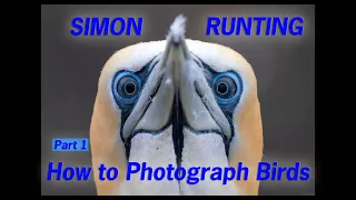 Simon Runting Award winning Bird Photographer part 1