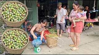 The trip to sell plums and cucumbers is full of fun and daily work on the farm girl's farm