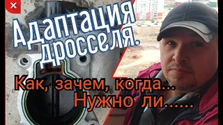 Адаптация электронной дроссельной заслонки. Как, когда, зачем... Нужно ли...