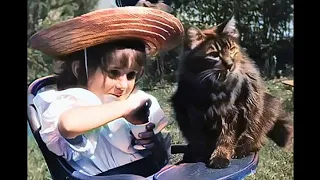 💗Little girl feeds cat in 1900: amazing restored footage!💗
