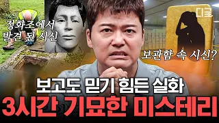 [#프리한19] (3시간) 아직도 풀리지 않은 미스터리🔒 흔적도 없이 미궁 속으로 사라진 충격 실화! | #편집자는