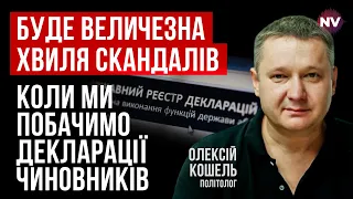 Петиція, щоб відкрити декларації. Блінкен як сигнал Путіну – Олексій Кошель