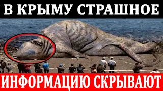 НЕИЗВЕСТНОЕ СУЩЕСТВО ВЫБРОСИЛО НА БЕРЕГ ЧЕРНОГО МОРЯ В КРЫМУ!!! 02.08.2020 ДОКУМЕНТАЛЬНЫЙ ФИЛЬМ HD