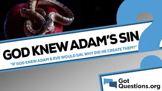 If God knew that Adam and Eve would sin, why did He create them?