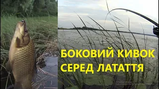 Ловля карася на боковий кивок серед латаття!