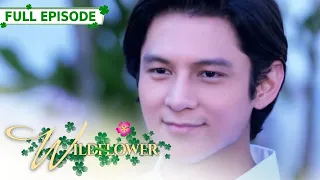 [ENG SUB] Ep 252 | Wildflower | Maja Salvador, Tirso Cruz III, Aiko Melendez