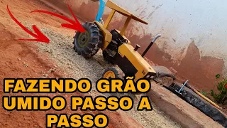 FAZENDO GRÃO UMIDO PASSO A PASSO(especial 5 mil inscritos)