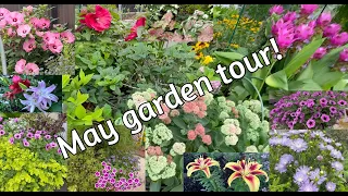 May 2024 Garden Tour #gardentour #texasgarden #suburbangarden