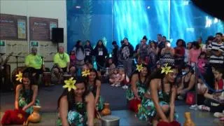 The Hawaiian Implements - Performed at the Aquarium of the Pacific