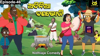 Adinia  Banabhoji //Nidhiaja Comedy // Picnic Comedy// Odia Cartoon// //ବଣଭୋଜି // Banabhoji