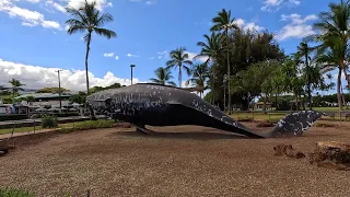 Walking Tour -  Cove Park to Kalama Park Kihei Maui Hawaii 2023