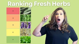 What fresh herbs are the MOST nutrient dense?