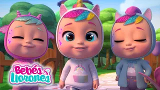 BEBÉS LLORONES 💦 LÁGRIMAS MÁGICAS 💕  CAPITULOS y Episodios 😍 Completos para NIÑOS en español