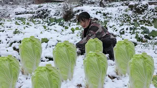 【二米炊烟】Chinese Cabbage & White Dish.雪天腌制的白菜和蘿蔔，可以吃到第2年春天